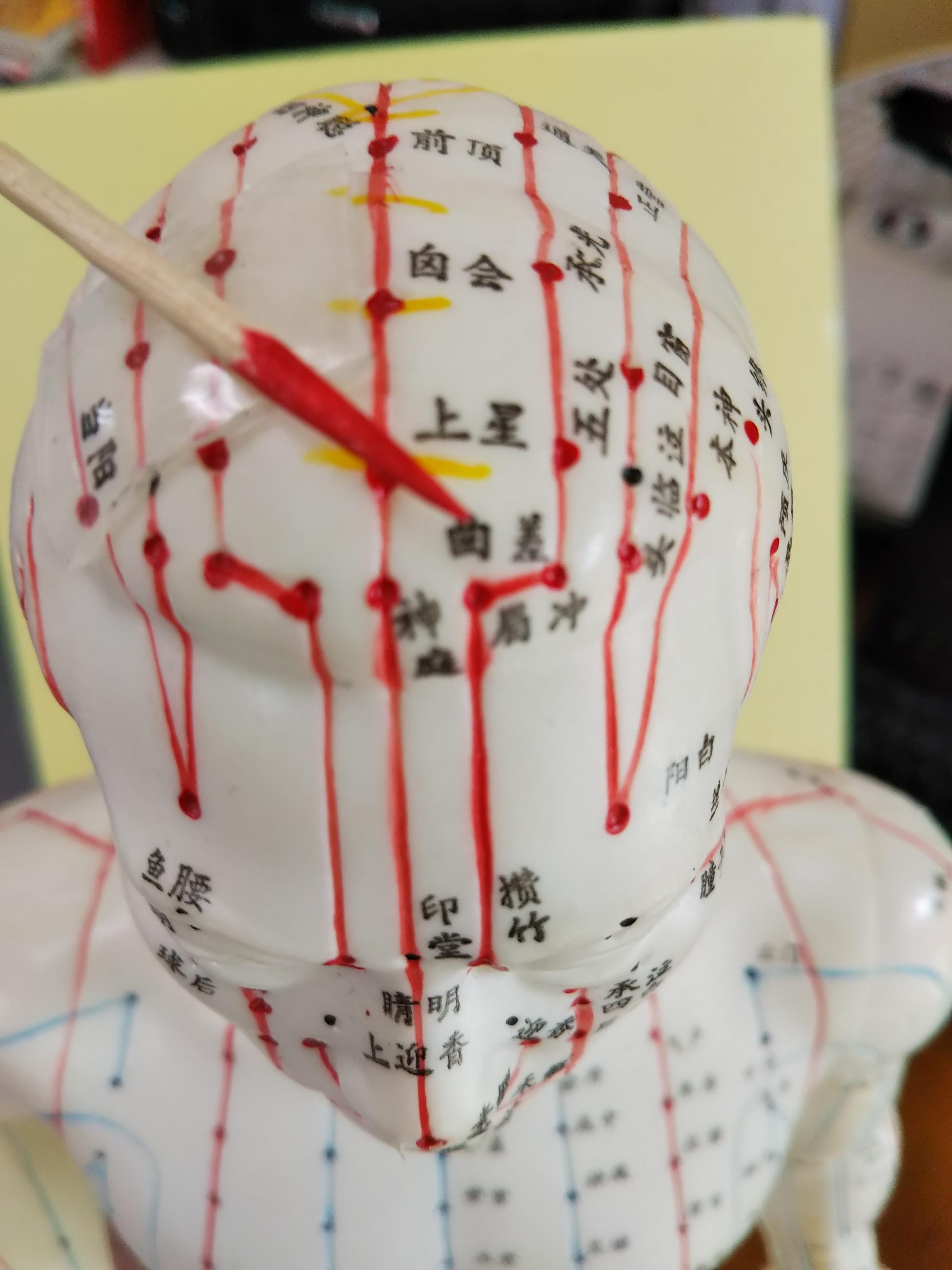 どこねっと!!大阪府