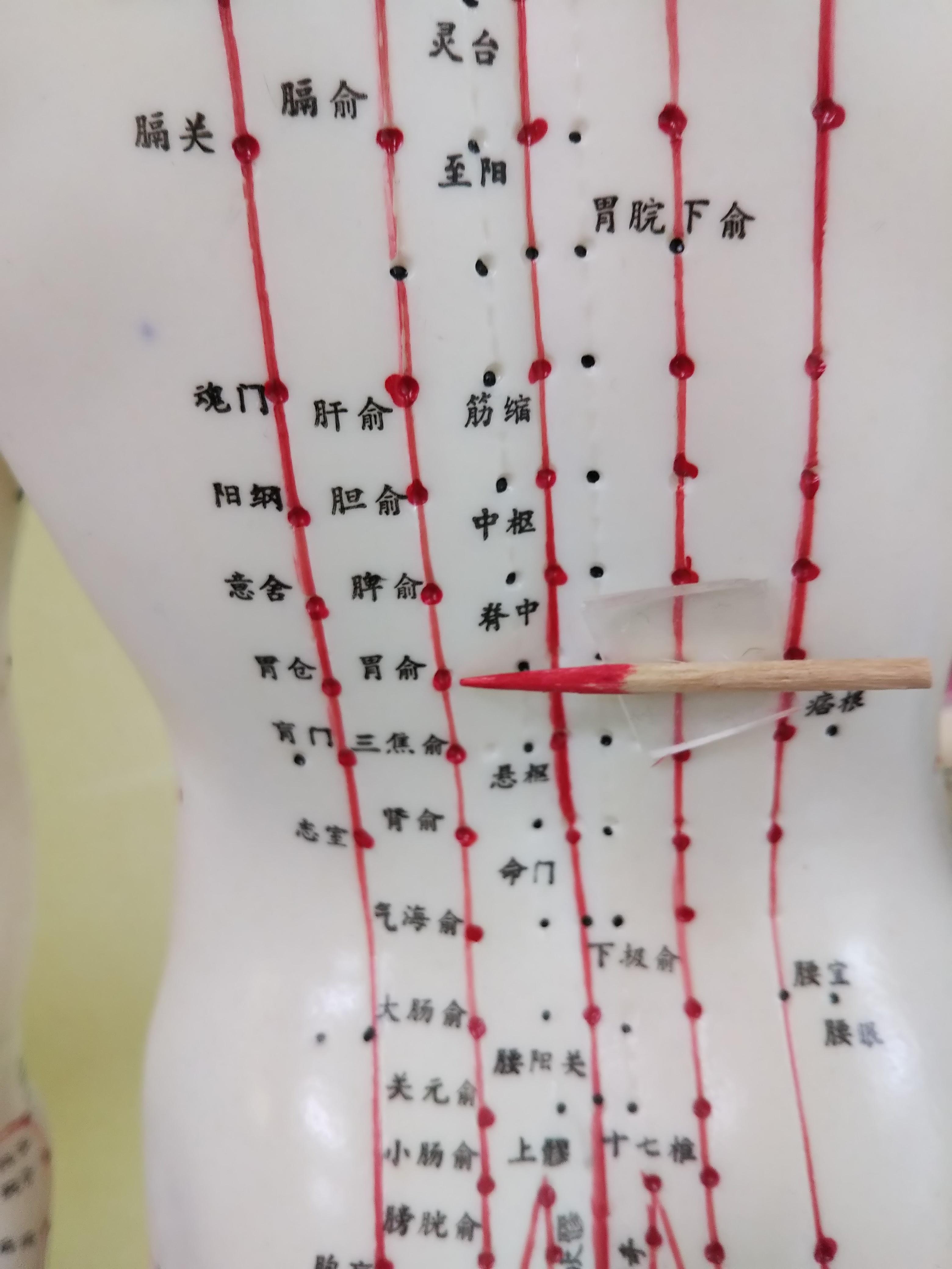 どこねっと!!大阪府