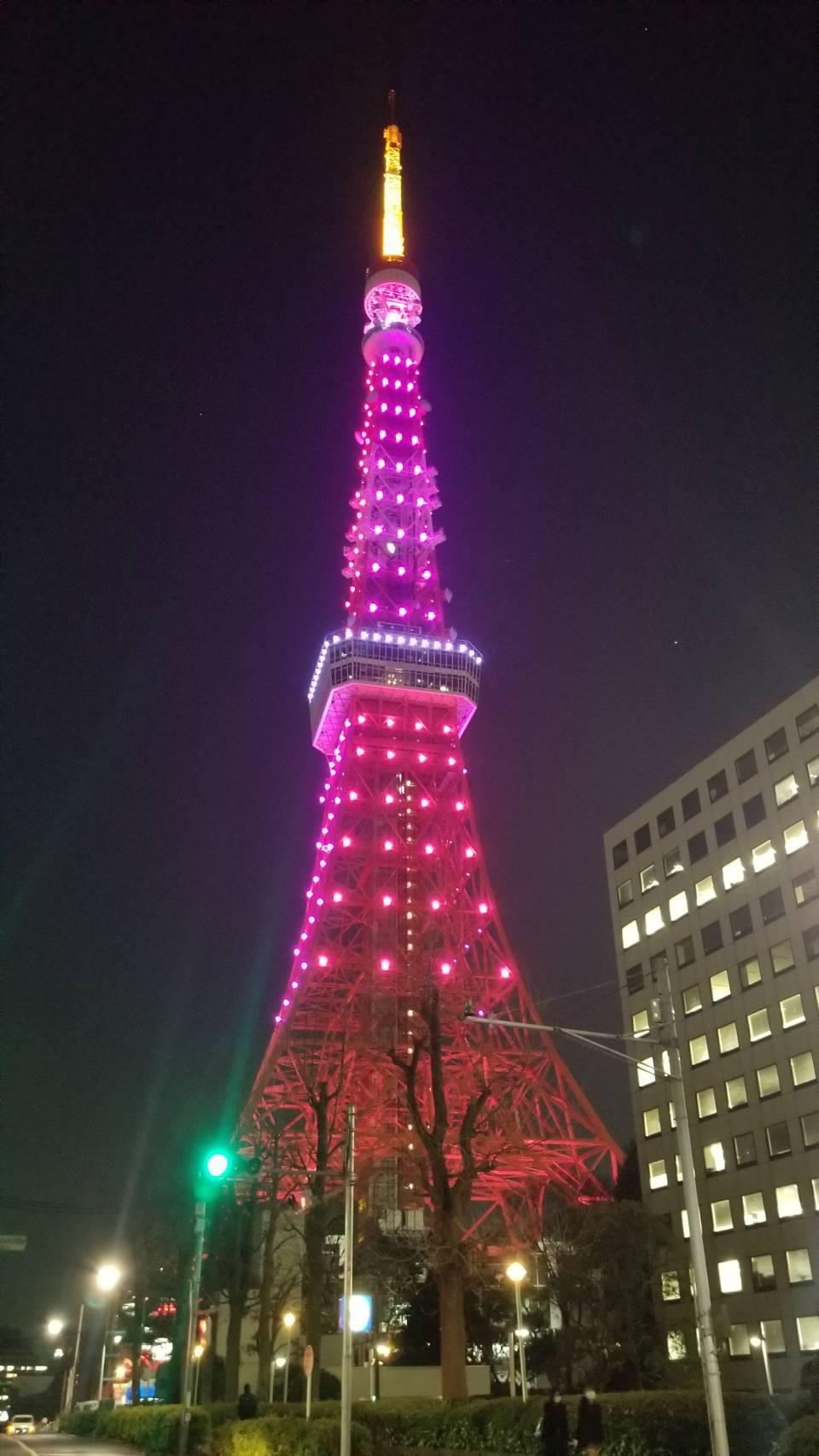 どこねっと 東京都